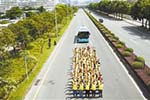 深圳公交宣传周活动：公交大巴完胜私家车