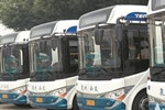 福建：泉州街头纯电动公交车现身