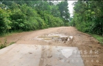 “村村通”公路建成“半拉子”