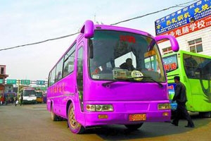 4年成长郑开城际公交驶向成熟