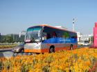 鲜花、笑脸、靓车相映成景 鲜花、笑脸、靓车相映成景