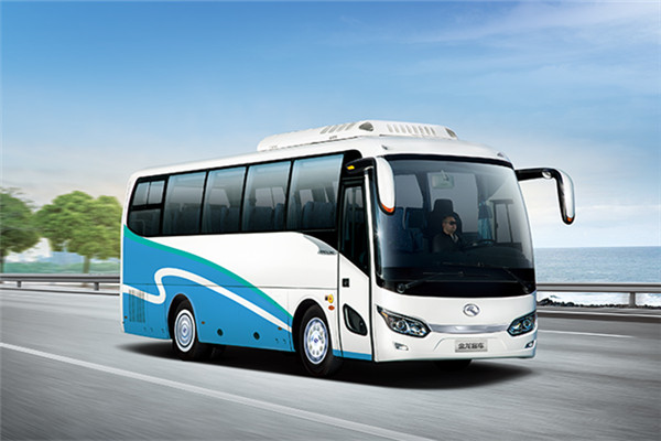 金龙XMQ6101AYN5D客车（天然气国五24-59座）