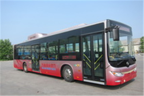 黄海DD6129CHEV5公交车(柴油/电混动国四24-38座)