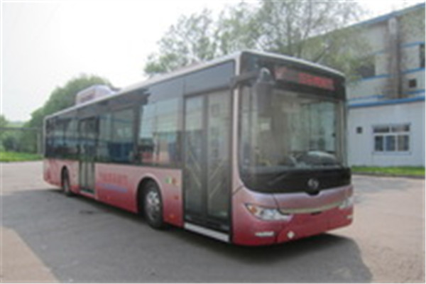 黄海DD6129CHEV5公交车(柴油/电混动国四24-38座)